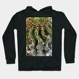 Waves Hoodie